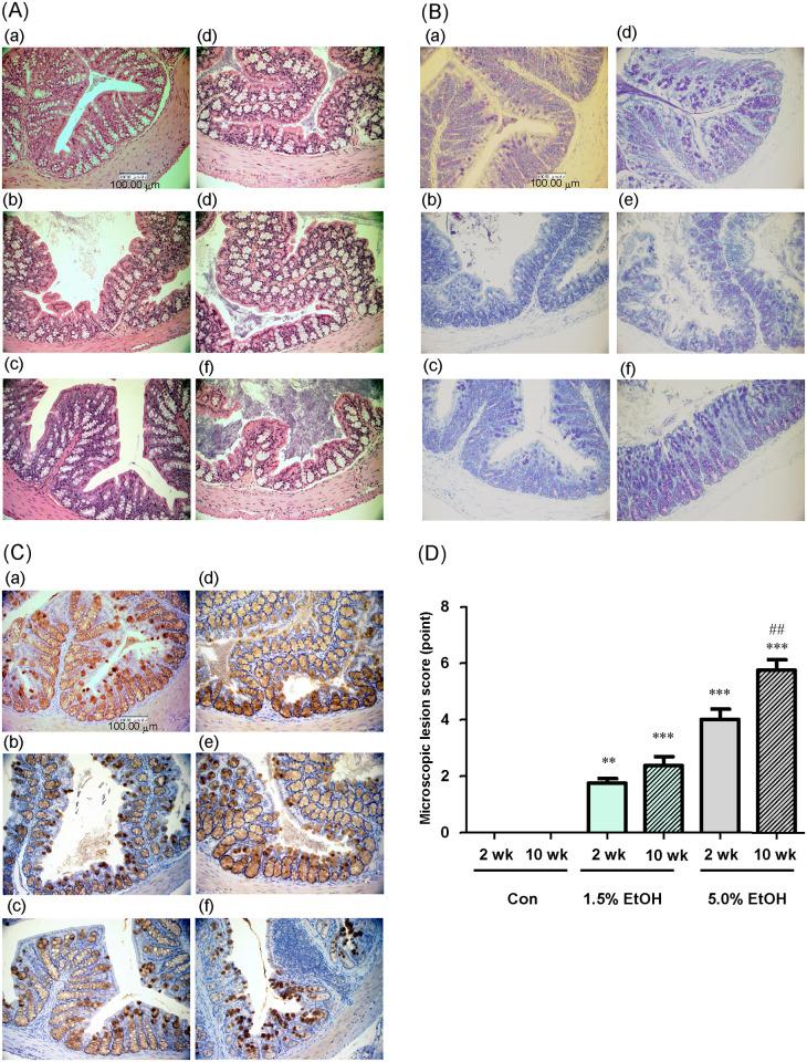 https://cdn.ncbi.nlm.nih.gov/pmc/blobs/330a/7880462/9364b5d34f0b/pone.0246580.g002.jpg