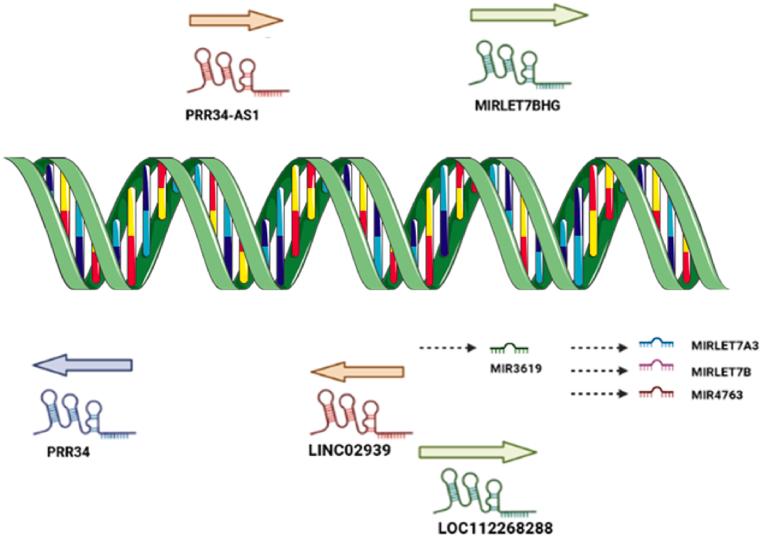 https://cdn.ncbi.nlm.nih.gov/pmc/blobs/330b/11617737/f603ffde9266/gr1.jpg