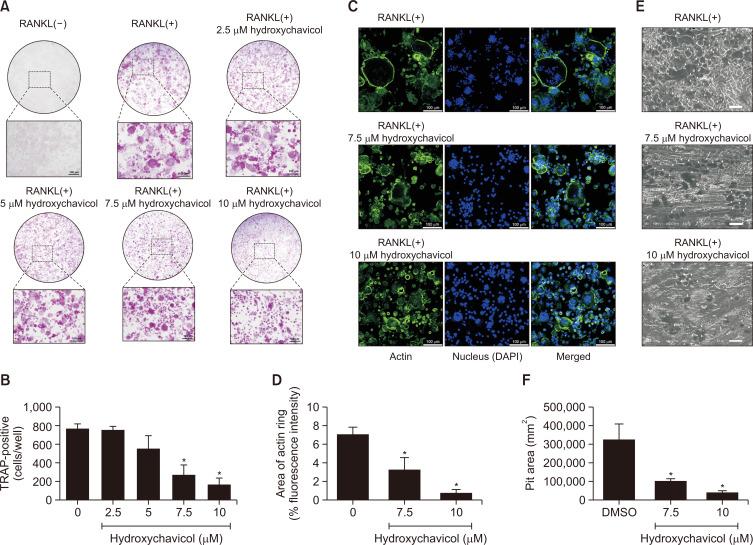 https://cdn.ncbi.nlm.nih.gov/pmc/blobs/3311/10902706/15188e6a8aea/bt-32-2-205-f2.jpg