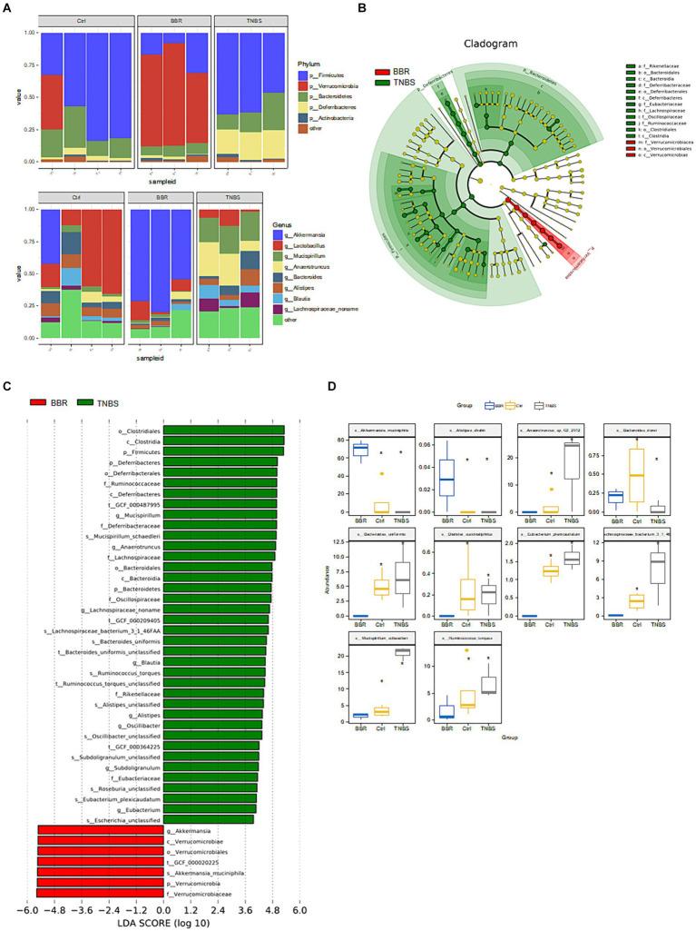 https://cdn.ncbi.nlm.nih.gov/pmc/blobs/3314/11392431/0d62ce29dbb3/fmicb-15-1463005-g006.jpg