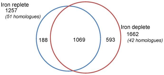 https://cdn.ncbi.nlm.nih.gov/pmc/blobs/3314/3797725/53f5ff0bce9a/pone.0075653.g001.jpg