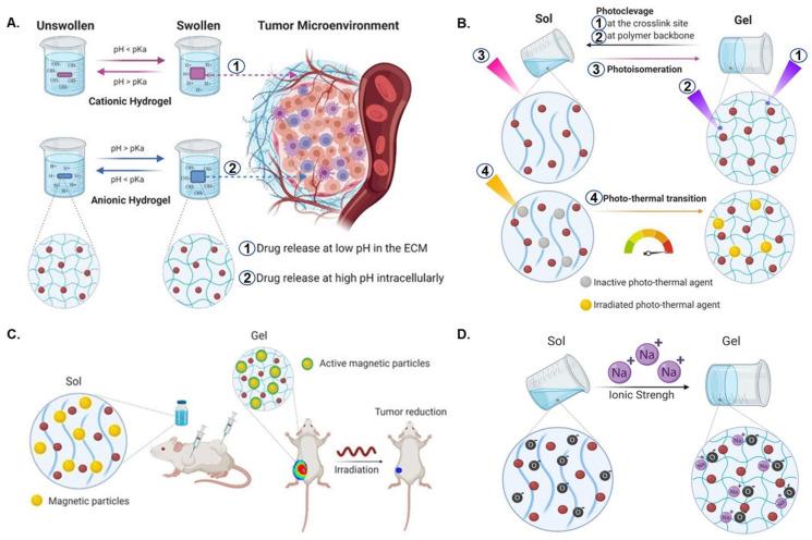 https://cdn.ncbi.nlm.nih.gov/pmc/blobs/3314/9784306/b654ab0cf2e1/pharmaceutics-14-02712-g002.jpg