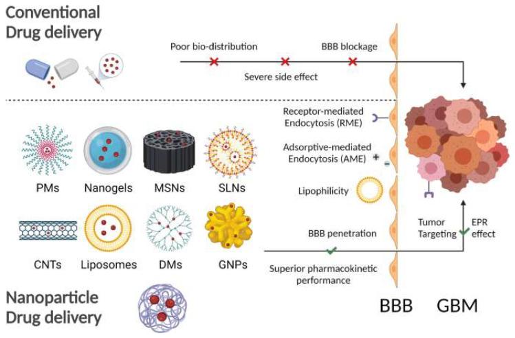 https://cdn.ncbi.nlm.nih.gov/pmc/blobs/3314/9784306/ea447344c2ea/pharmaceutics-14-02712-g005.jpg