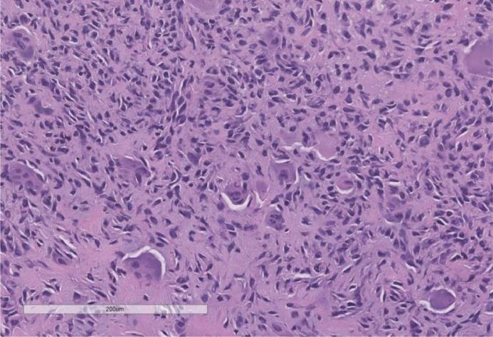 https://cdn.ncbi.nlm.nih.gov/pmc/blobs/3315/10206382/6eb4ecb67d7b/gr4.jpg