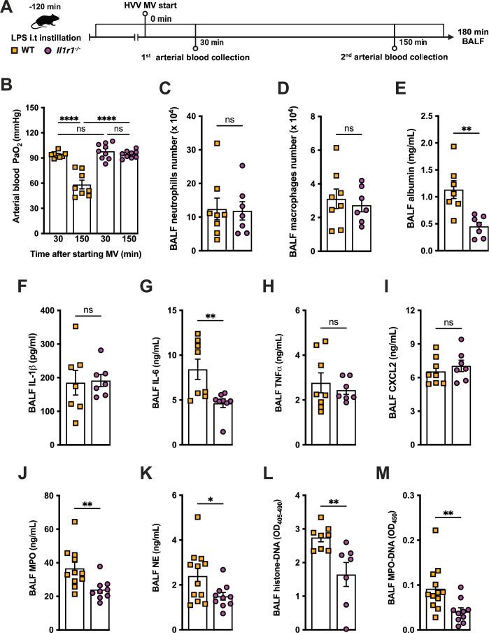 https://cdn.ncbi.nlm.nih.gov/pmc/blobs/3315/12187133/55cf7d2da32f/elife-101990-fig4.jpg