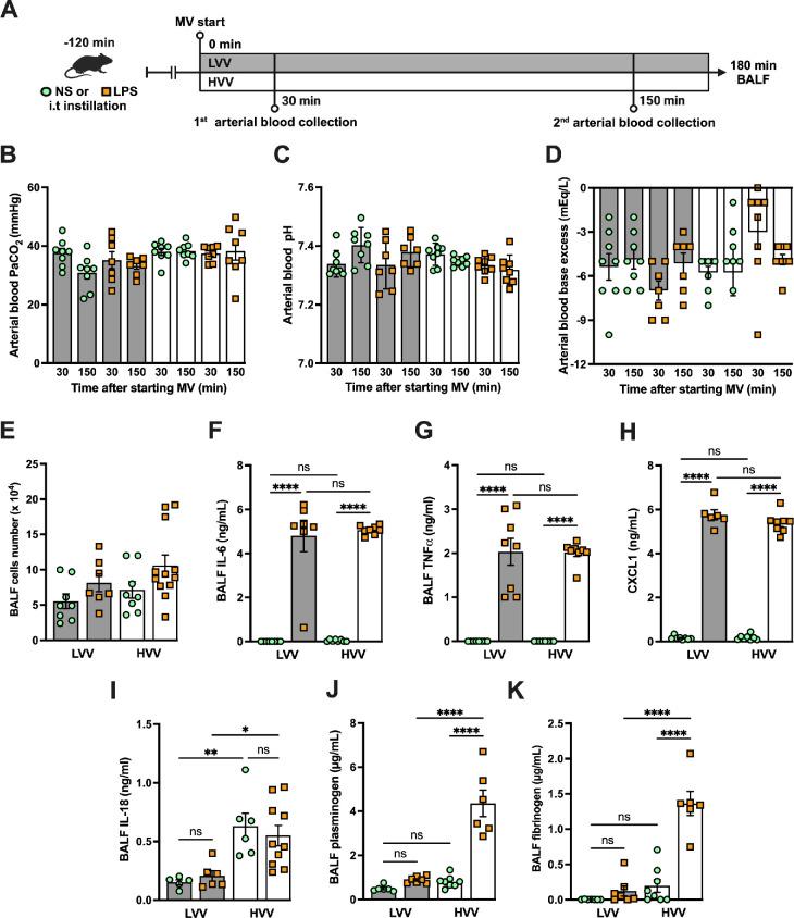 https://cdn.ncbi.nlm.nih.gov/pmc/blobs/3315/12187133/a90e99fcde87/elife-101990-fig1-figsupp1.jpg