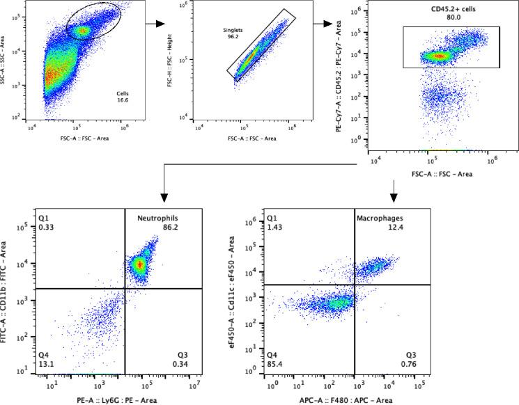 https://cdn.ncbi.nlm.nih.gov/pmc/blobs/3315/12187133/d2d42678b199/elife-101990-fig1-figsupp2.jpg