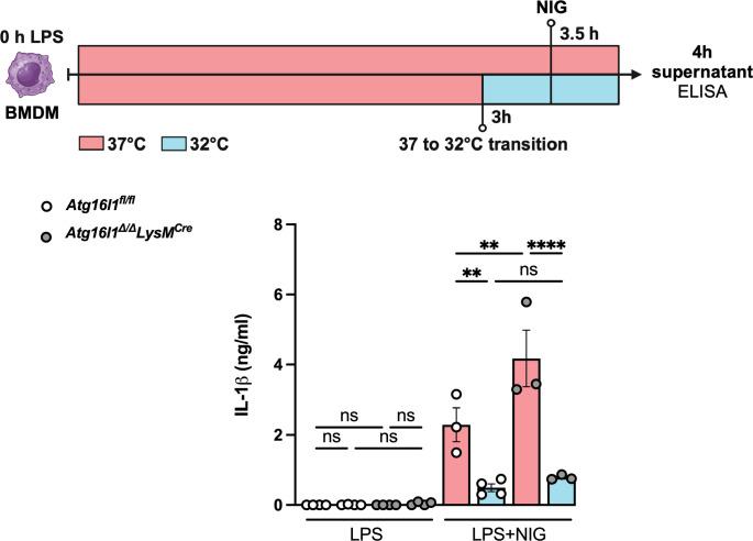 https://cdn.ncbi.nlm.nih.gov/pmc/blobs/3315/12187133/d78b21b5c961/elife-101990-fig7-figsupp1.jpg