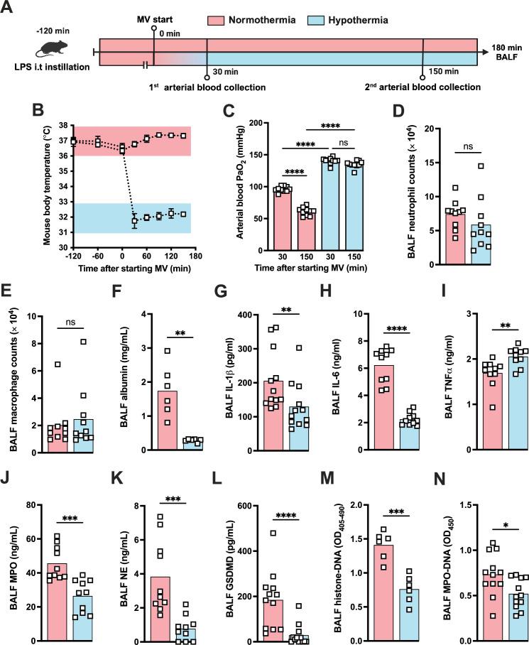 https://cdn.ncbi.nlm.nih.gov/pmc/blobs/3315/12187133/ef474d40f31b/elife-101990-fig6.jpg