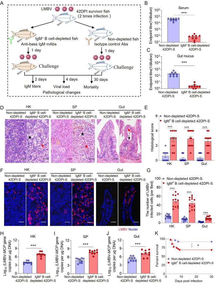 https://cdn.ncbi.nlm.nih.gov/pmc/blobs/3315/12410970/0877c487ca5b/elife-104465-fig5.jpg