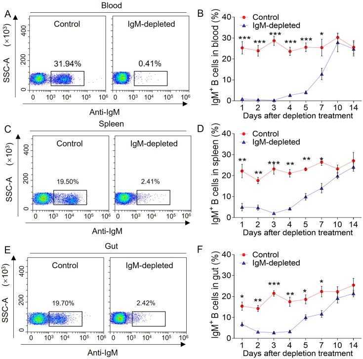 https://cdn.ncbi.nlm.nih.gov/pmc/blobs/3315/12410970/234969dd03cf/elife-104465-fig5-figsupp1.jpg