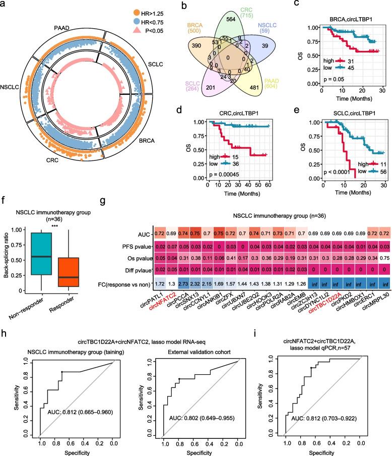https://cdn.ncbi.nlm.nih.gov/pmc/blobs/3317/11526565/ed2447aea64a/13073_2024_1400_Fig6_HTML.jpg