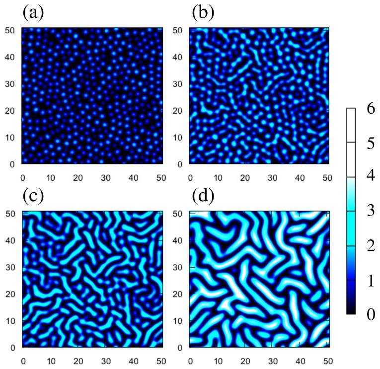 https://cdn.ncbi.nlm.nih.gov/pmc/blobs/3317/6209246/c349f78d5bd4/gels-04-00041-g006.jpg