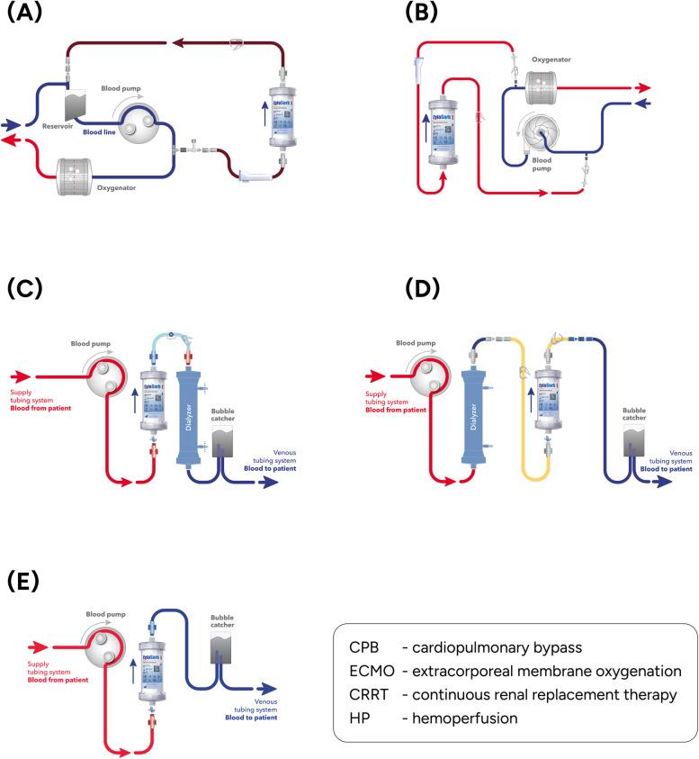 https://cdn.ncbi.nlm.nih.gov/pmc/blobs/3318/11102180/5ec95de6d876/12872_2024_3938_Fig3_HTML.jpg