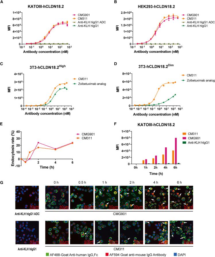 https://cdn.ncbi.nlm.nih.gov/pmc/blobs/331b/11528232/95aaffe5ebd3/gr1.jpg