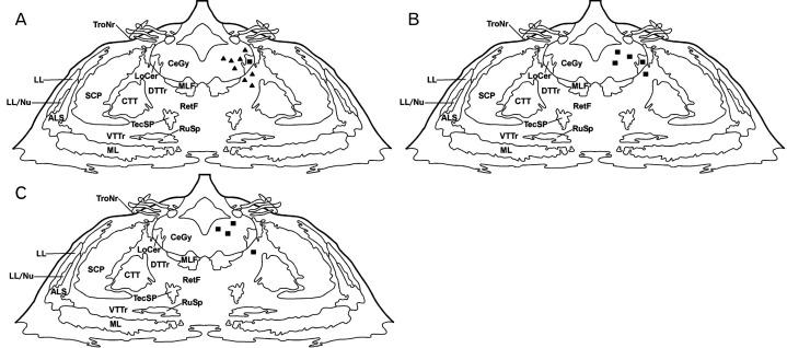 https://cdn.ncbi.nlm.nih.gov/pmc/blobs/331b/8493014/914fc7c16889/acb-54-3-340-f1.jpg
