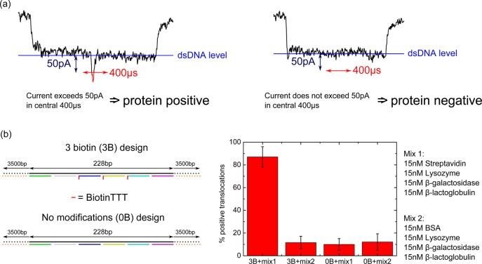 https://cdn.ncbi.nlm.nih.gov/pmc/blobs/331c/4353036/6266cf0d2ff6/ja-2014-12521w_0005.jpg