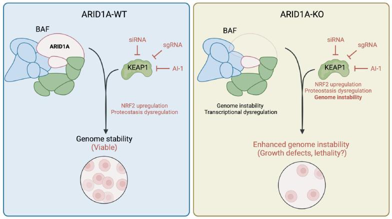 https://cdn.ncbi.nlm.nih.gov/pmc/blobs/331d/11394604/0f0222f09525/cancers-16-02949-g005.jpg