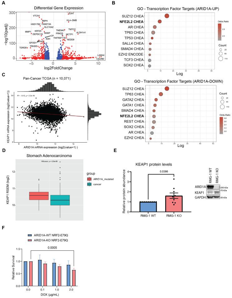 https://cdn.ncbi.nlm.nih.gov/pmc/blobs/331d/11394604/46c606f9c7e5/cancers-16-02949-g003.jpg