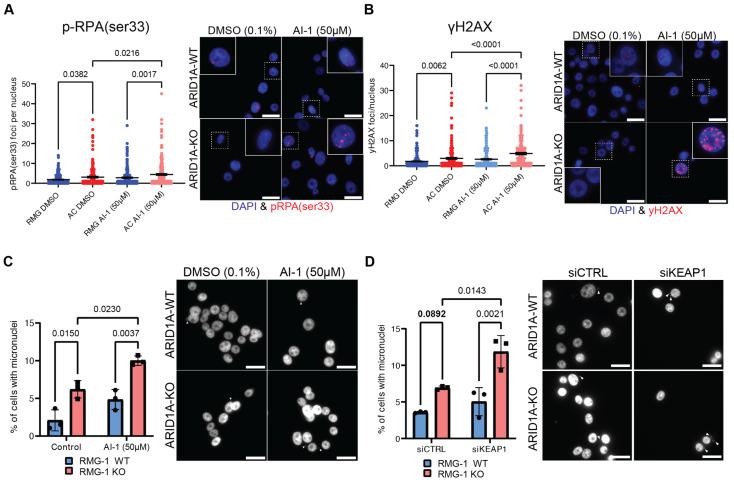 https://cdn.ncbi.nlm.nih.gov/pmc/blobs/331d/11394604/561e321af74e/cancers-16-02949-g004.jpg