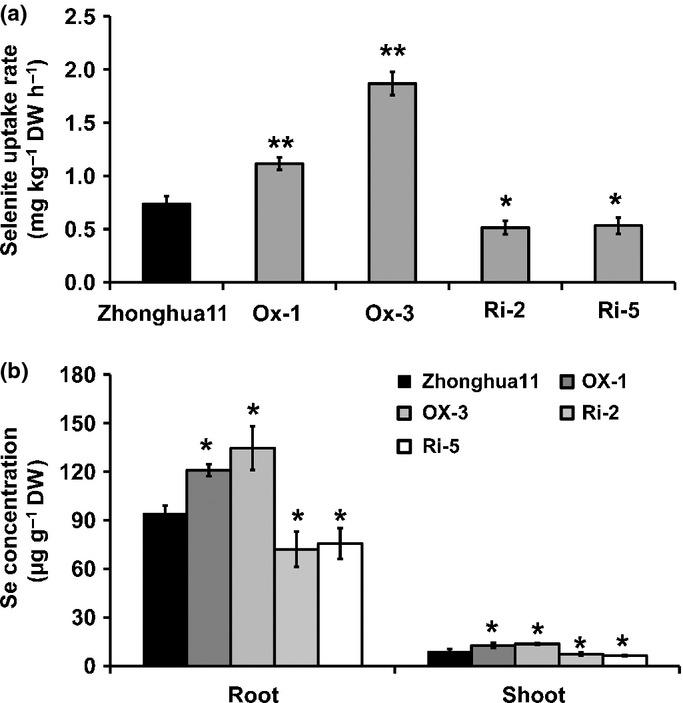 https://cdn.ncbi.nlm.nih.gov/pmc/blobs/331e/4284032/5999e9c3b21b/nph0201-1183-f6.jpg