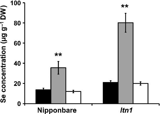 https://cdn.ncbi.nlm.nih.gov/pmc/blobs/331e/4284032/bfeae4d1dd7f/nph0201-1183-f2.jpg