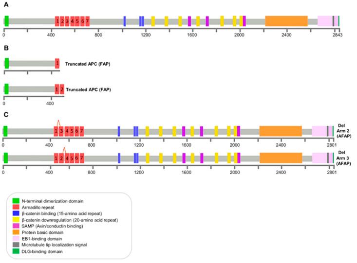 https://cdn.ncbi.nlm.nih.gov/pmc/blobs/331e/7997234/7177b26228d2/genes-12-00353-g004.jpg