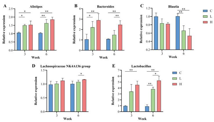 https://cdn.ncbi.nlm.nih.gov/pmc/blobs/331f/10097023/ea39bd94c24d/nutrients-15-01609-g007.jpg
