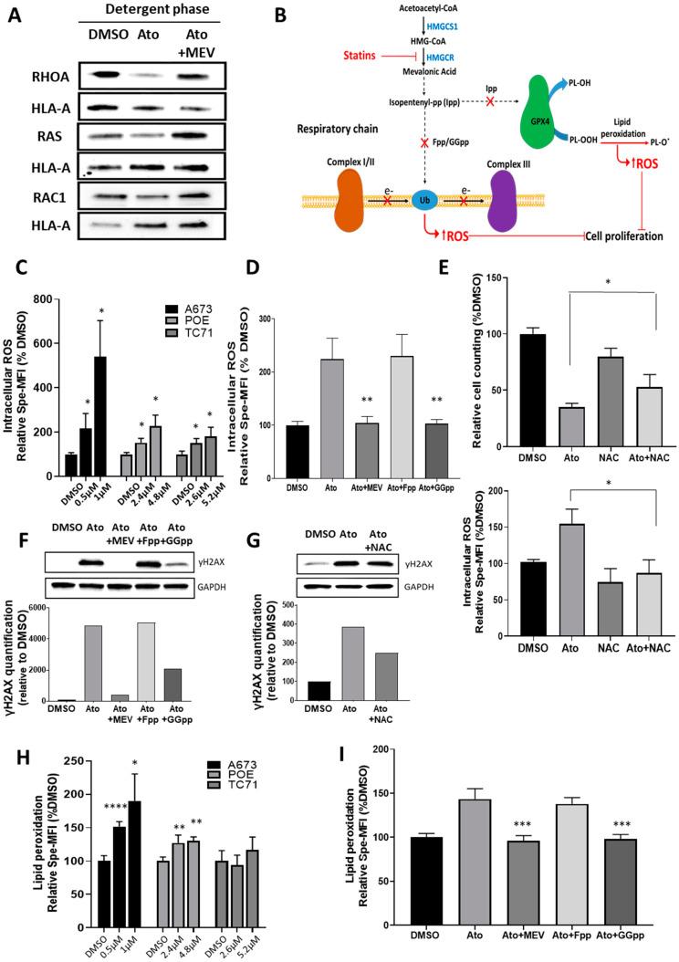 https://cdn.ncbi.nlm.nih.gov/pmc/blobs/331f/9100622/b481f48db506/cancers-14-02327-g005.jpg