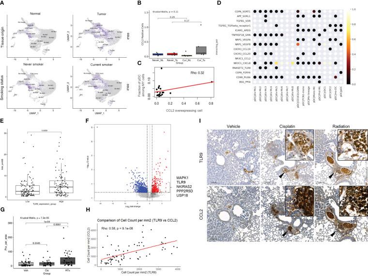 https://cdn.ncbi.nlm.nih.gov/pmc/blobs/3321/10330699/f13d8192b830/fimmu-14-1154881-g005.jpg