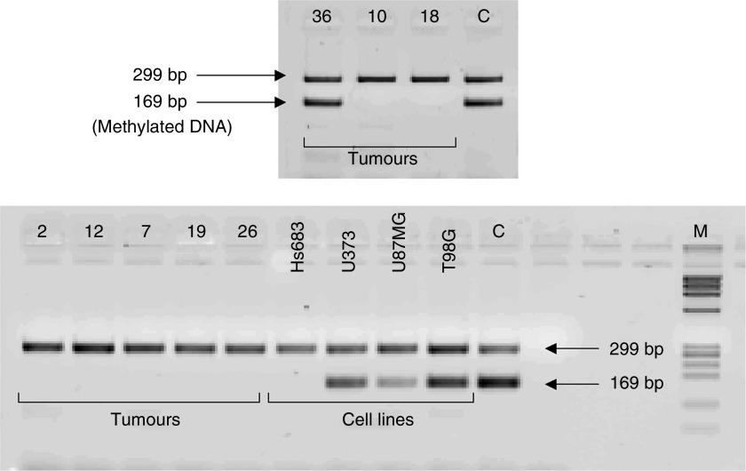 https://cdn.ncbi.nlm.nih.gov/pmc/blobs/3322/2361255/1bfe9c90e802/94-6603006f5.jpg