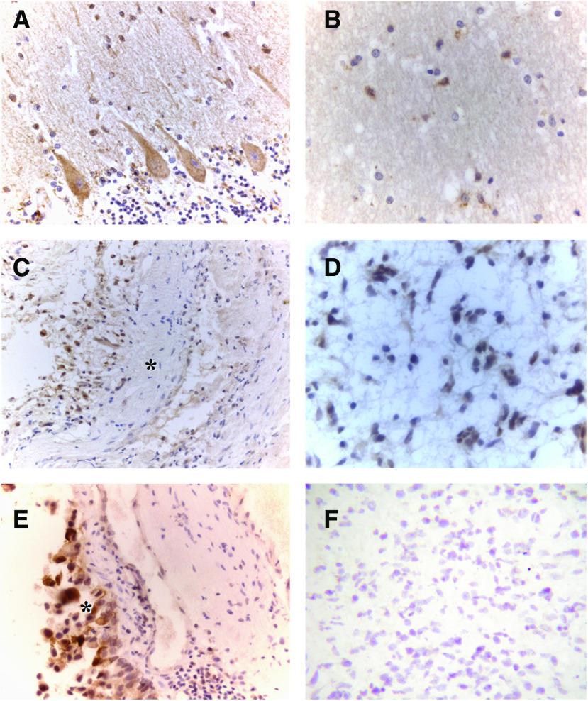 https://cdn.ncbi.nlm.nih.gov/pmc/blobs/3322/2361255/dde1dd619eb0/94-6603006f2.jpg