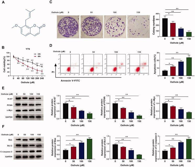 https://cdn.ncbi.nlm.nih.gov/pmc/blobs/3323/8856102/aac2365d4900/IPHB_A_2032206_F0001_C.jpg