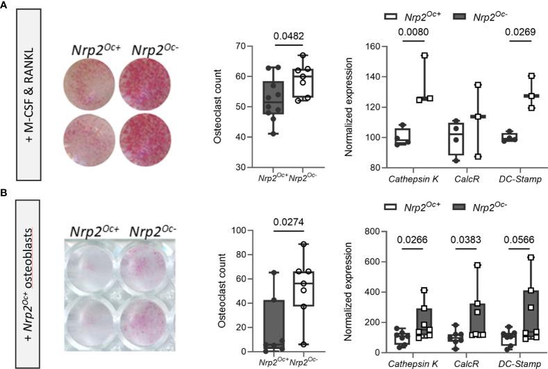 https://cdn.ncbi.nlm.nih.gov/pmc/blobs/3324/10436209/c010b165ed20/fendo-14-1223021-g005.jpg