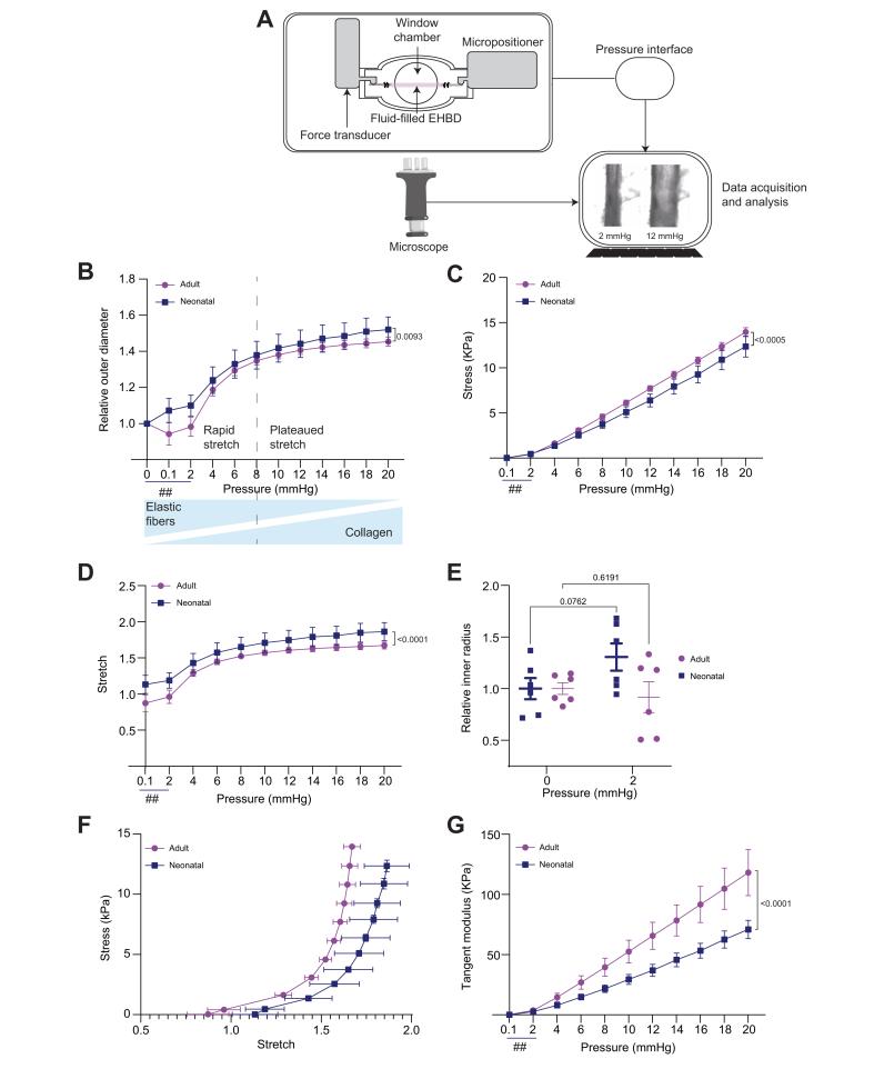 https://cdn.ncbi.nlm.nih.gov/pmc/blobs/3324/11663959/58cb6d27a1b2/gr3.jpg