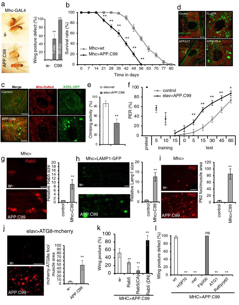https://cdn.ncbi.nlm.nih.gov/pmc/blobs/3324/8522249/7c56aaaa4a7d/40478_2021_1268_Fig1_HTML.jpg