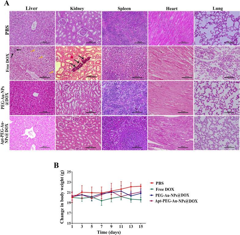 https://cdn.ncbi.nlm.nih.gov/pmc/blobs/3325/8507230/2d81d6292d6d/12951_2021_1056_Fig7_HTML.jpg