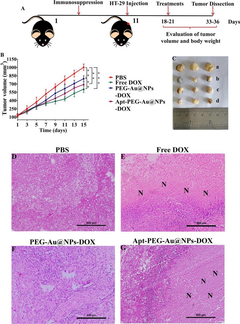 https://cdn.ncbi.nlm.nih.gov/pmc/blobs/3325/8507230/c3400df0ca04/12951_2021_1056_Fig6_HTML.jpg