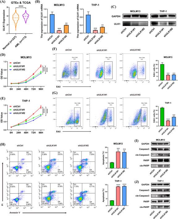 https://cdn.ncbi.nlm.nih.gov/pmc/blobs/3326/10993053/2574793c6204/CTM2-14-e1628-g005.jpg