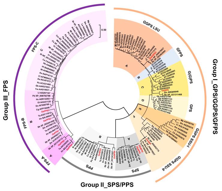 https://cdn.ncbi.nlm.nih.gov/pmc/blobs/3326/7728057/3ff5220093fa/ijms-21-08927-g001.jpg