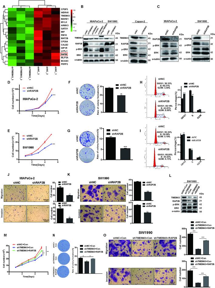 https://cdn.ncbi.nlm.nih.gov/pmc/blobs/3326/9850599/97cb925d05c1/11658_2023_419_Figa_HTML.jpg
