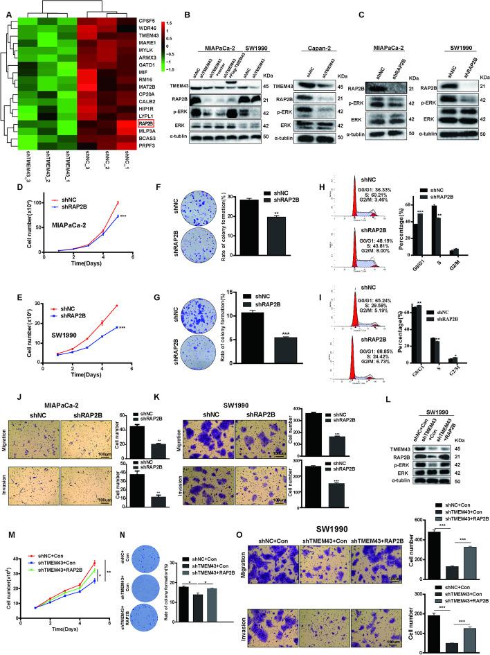 https://cdn.ncbi.nlm.nih.gov/pmc/blobs/3326/9850599/bfb3af232385/11658_2023_419_Fig3_HTML.jpg