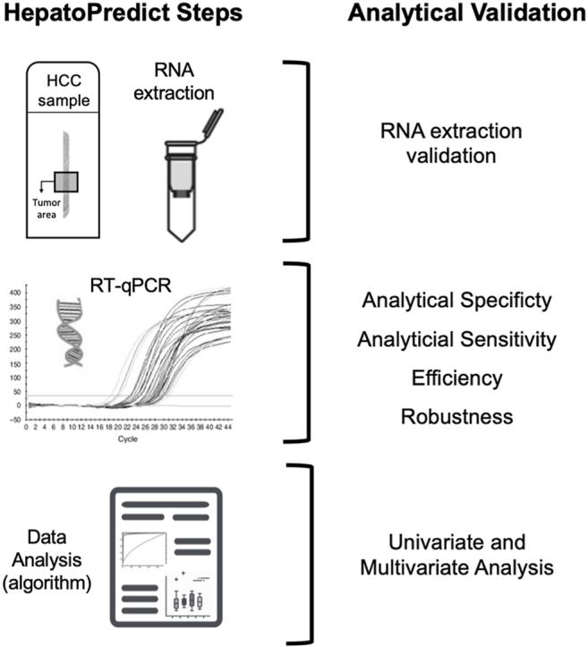https://cdn.ncbi.nlm.nih.gov/pmc/blobs/3328/10869278/8c17dcae27e0/ga1.jpg