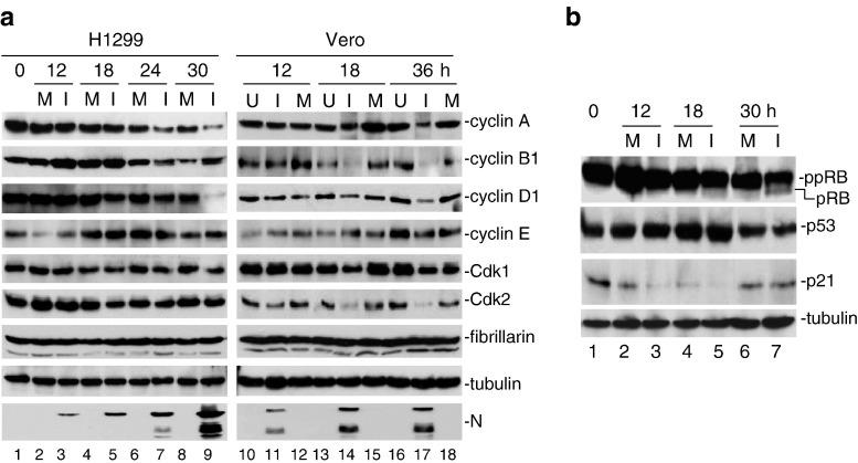https://cdn.ncbi.nlm.nih.gov/pmc/blobs/3328/7103336/2135e96b9b3f/gr3_lrg.jpg