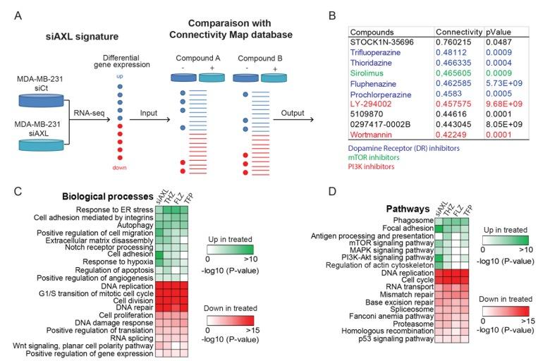 https://cdn.ncbi.nlm.nih.gov/pmc/blobs/3329/6459349/c92d845ec1a7/oncotarget-10-2055-g001.jpg