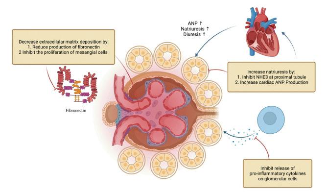 https://cdn.ncbi.nlm.nih.gov/pmc/blobs/332c/9731775/e32cf20c8882/j-krcp-21-285f1.jpg