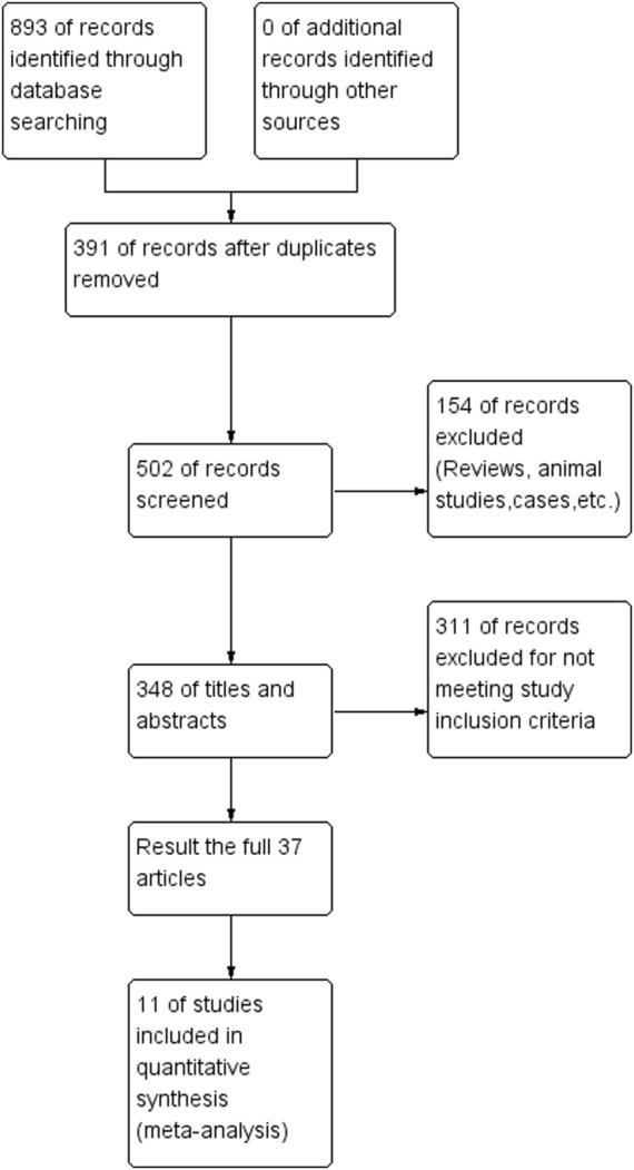 https://cdn.ncbi.nlm.nih.gov/pmc/blobs/332e/10285394/23bab5e161a9/fphar-14-1122842-g001.jpg