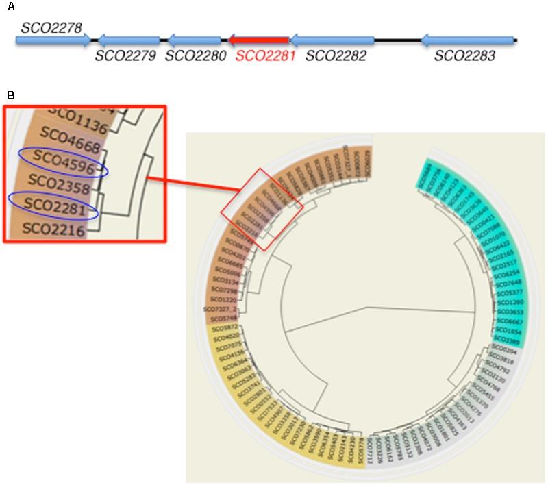 https://cdn.ncbi.nlm.nih.gov/pmc/blobs/332e/5733086/bfdb51a65a8f/fmicb-08-02444-g001.jpg