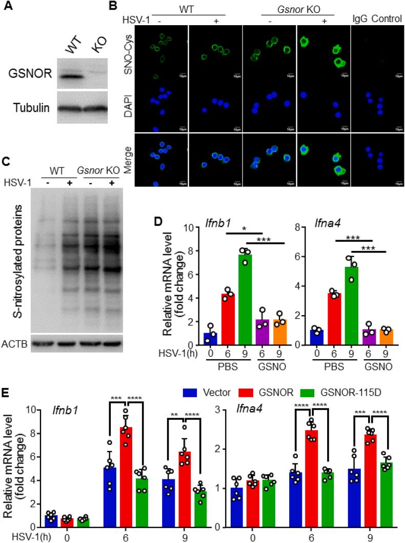 https://cdn.ncbi.nlm.nih.gov/pmc/blobs/332e/8577438/5a959131e89e/gr3.jpg