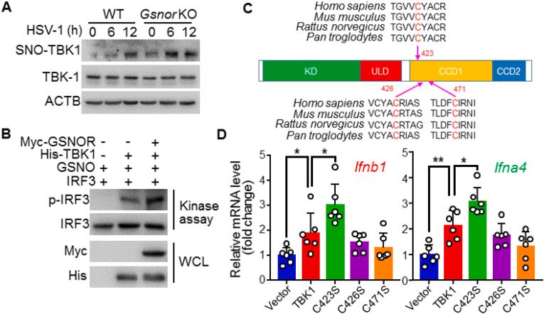 https://cdn.ncbi.nlm.nih.gov/pmc/blobs/332e/8577438/a9caf9ade47c/gr5.jpg